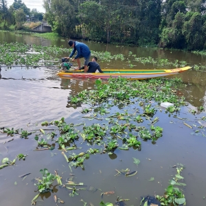 vo-lai-dong-thap-phuong-tien-di-chuyen-dac-trung-mien-tay-song-nuoc